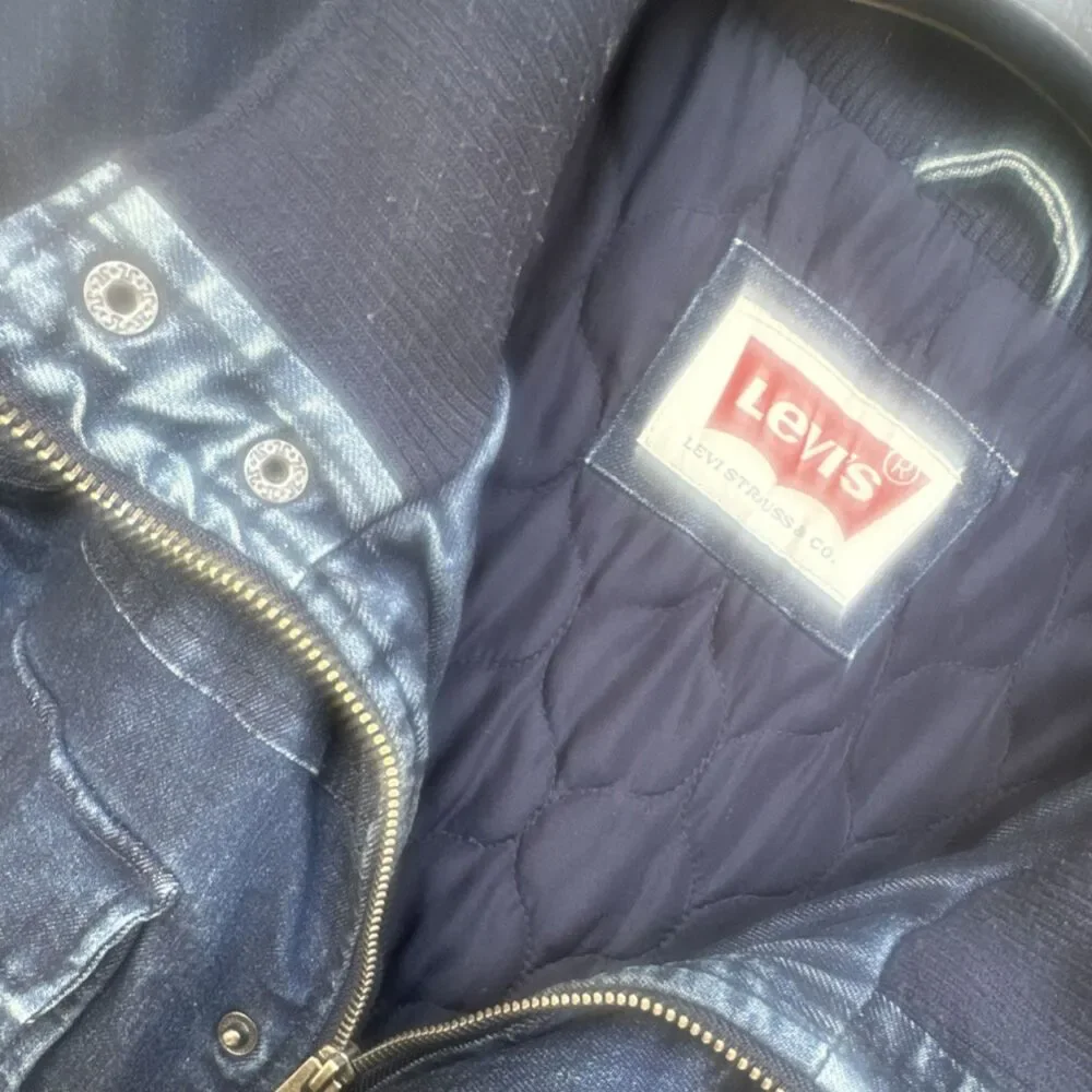 Levis levis mens
